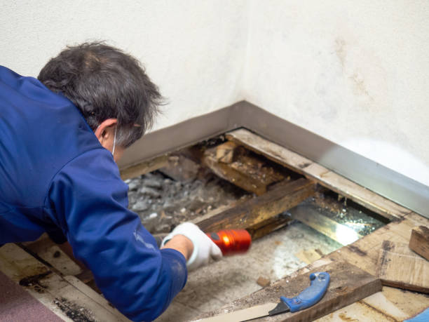 Best Mold Testing  in Santa Rosa, NM