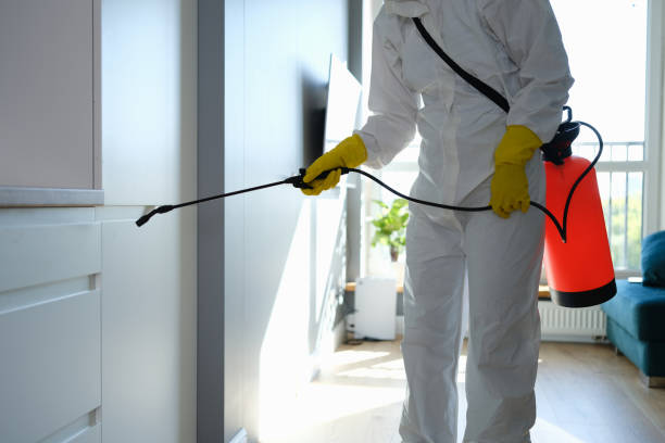 Best Toxic Mold Removal  in Santa Rosa, NM
